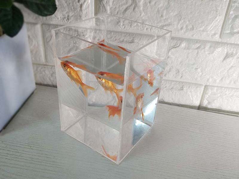長(zhǎng)方形亞克力小魚(yú)缸廠家定制